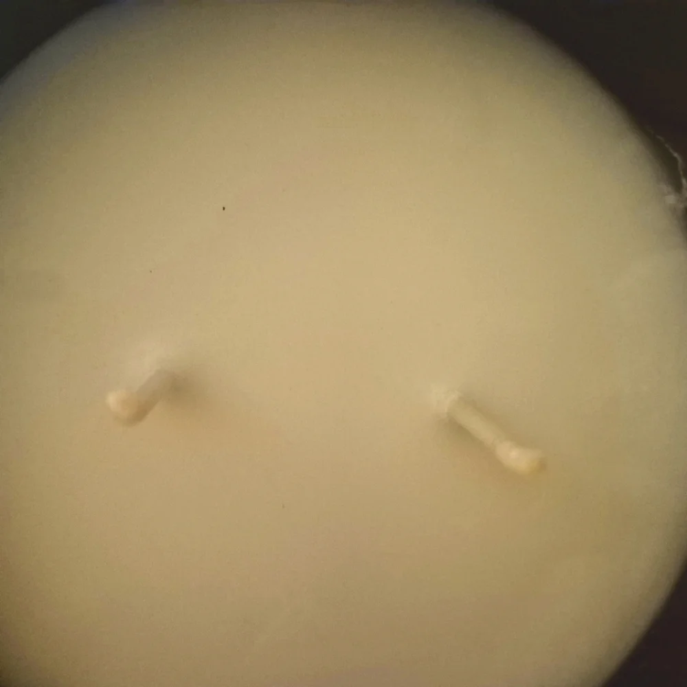 Twilight Pomelo Scented Jar Blue Wax Candle With 2 Wicks  12.5oz Brand New - Picture 8 of 8